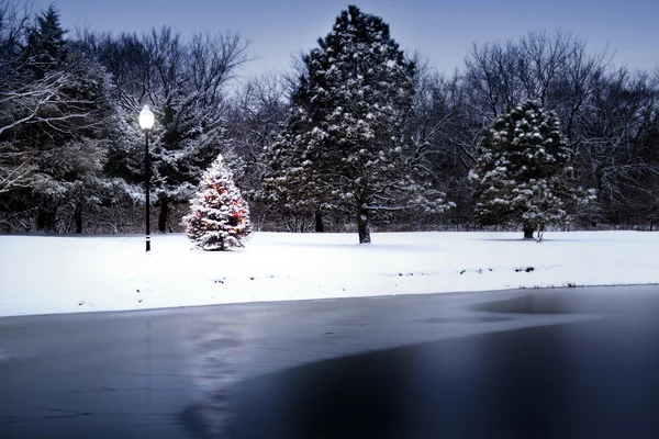 Mágikus fény megvilágítja hóval borított tó mentén karácsonyfa — Stock Fotó