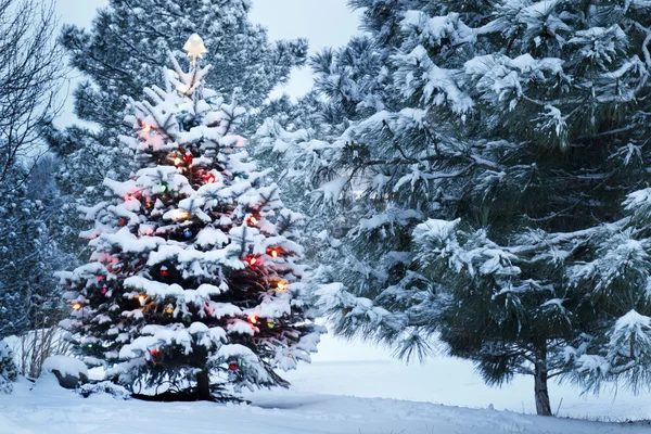 Brightly Lit Snow Coberto Árvore de Natal Na tempestade de neve — Fotografia de Stock