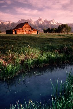 eski ahır antilop grand tetons wyoming dikey daireler