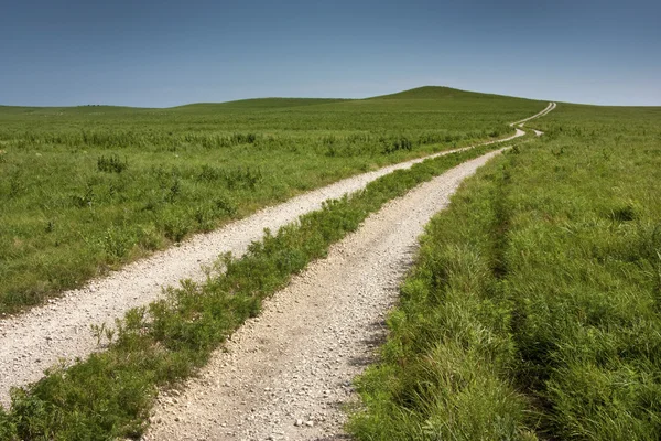 Long rural country road through tall grass pasture — Stock Photo, Image