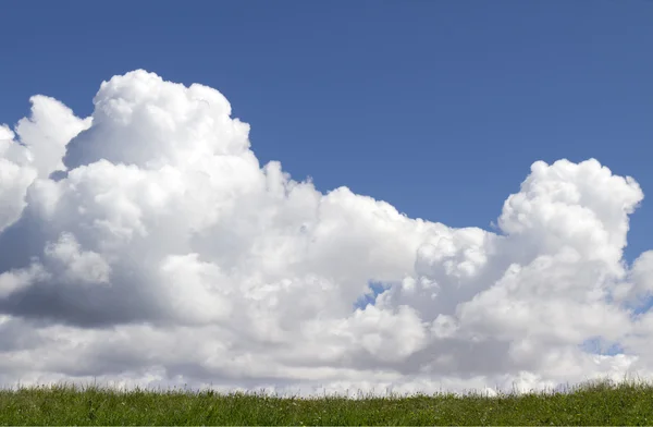 Djupblå himmel vitt fluffigt moln över grönt gräs hill — Stockfoto