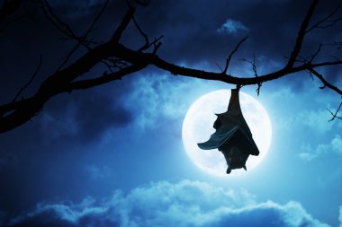 ürpertici halloween yarasa baş aşağı asılı dolunay ile