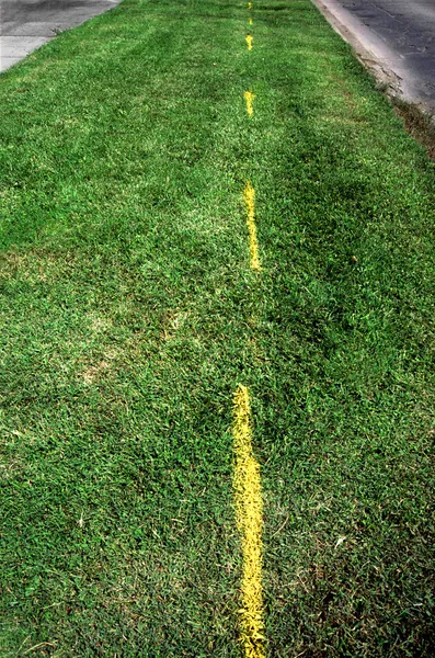 Carretera de hierba - pintado con líneas amarillas — Foto de Stock