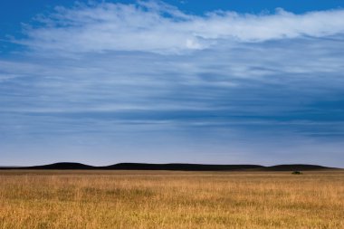 karanlık gizemli tepeler