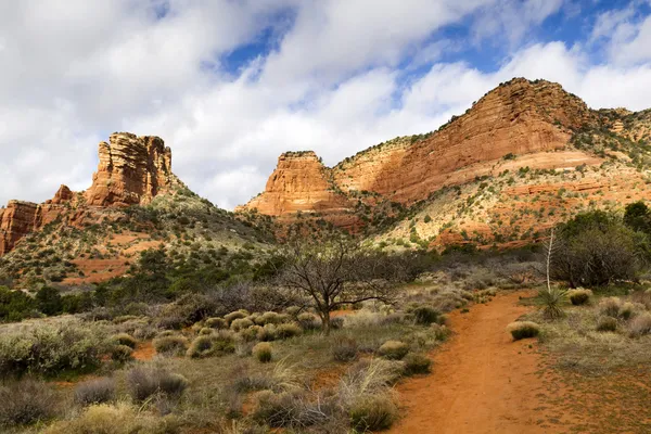 Desert hiking trail — Stock Photo, Image