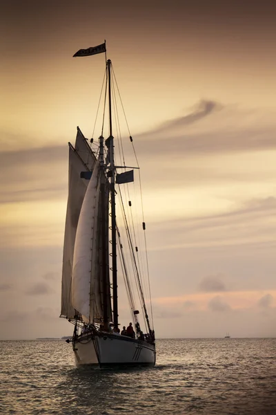Sail boat — Stock Photo, Image