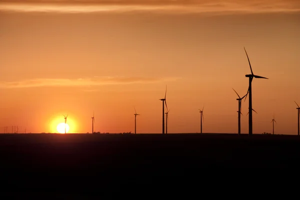 Wind generation farm — Stock Photo, Image