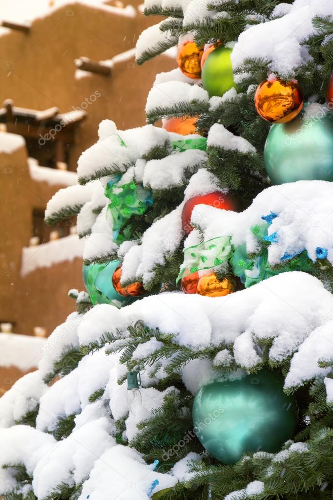 Snow Covered Christmas Tree In Santa Fe New Mexico