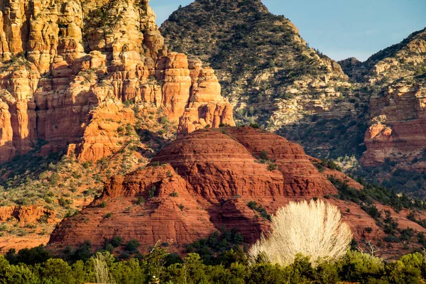 Layers Colors Sedona Landscape Bare White Tree Foreground Red Rocks — Stockfoto