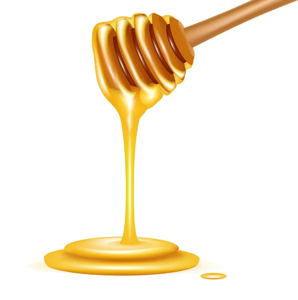 Miel en la cacerola cayendo aislado en blanco — Vector de stock