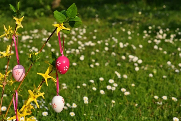 Easter eggs on branchlet with garden in background — Stock Photo, Image