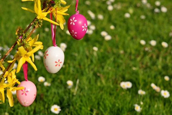 Easter eggs on branchlet with garden in background — Stock Photo, Image