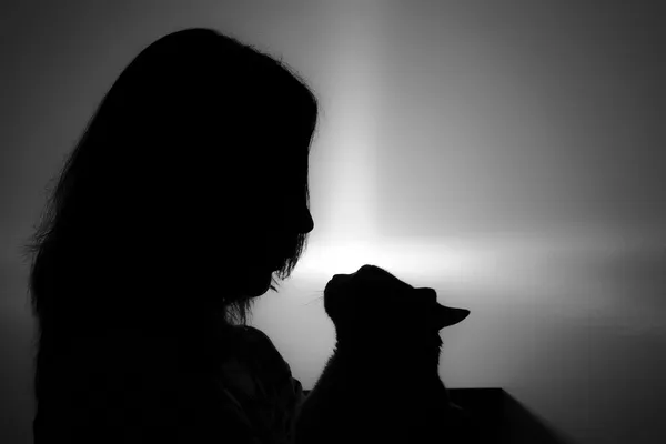 Silhouette di donna viso con gatto — Foto Stock