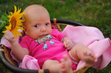 Kız ayçiçeği ile hasır sepet