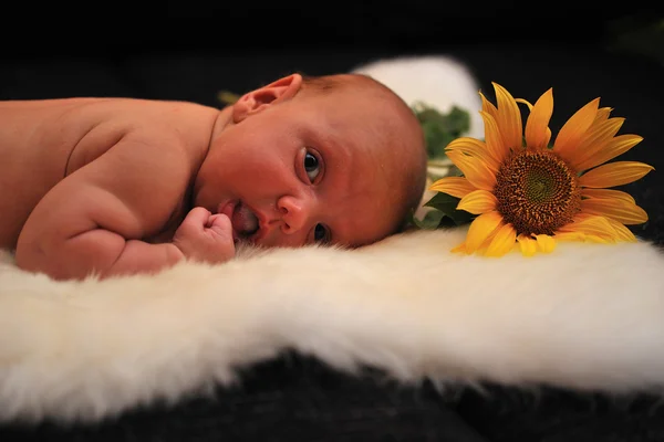 Neugeborenes Baby auf weißem Fell mit Sonnenblume — Stockfoto