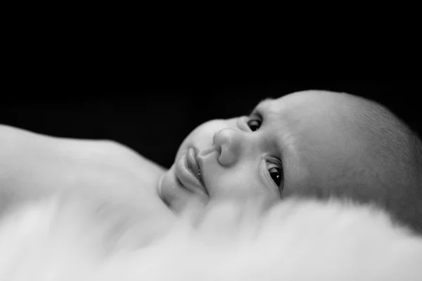 New born baby cover by white fur in black and white — Stock Photo, Image