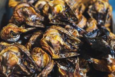 Kurutulmuş balık Asya 'da bir gıda koruma yöntemidir..