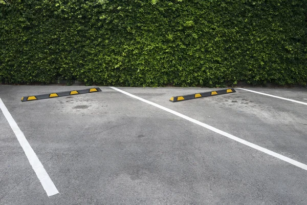 Ruimtes Buitenparkeerplaatsen Groene Muur Van Bomen — Stockfoto