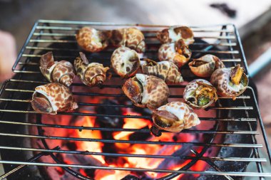 İstiridyeler ızgaranın üzerine sıcak bir ateş konmuş..