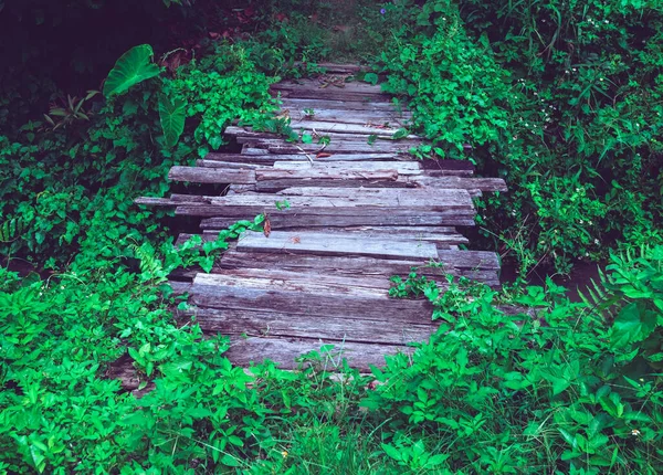 Old Wooden Bridge Weeds Covering Sides — Stok fotoğraf