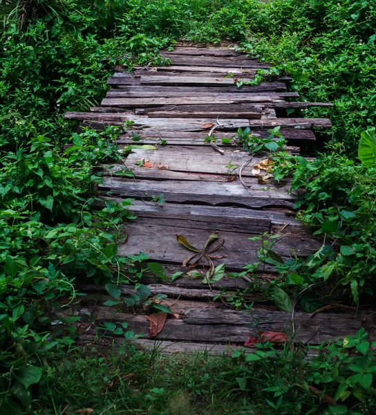 Old Wooden Bridge Weeds Covering Sides — Stok fotoğraf