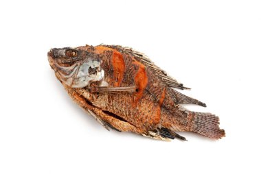 Kızarmış tilapia, beyaz arka planda izole edilmiş tatlı su balığı.