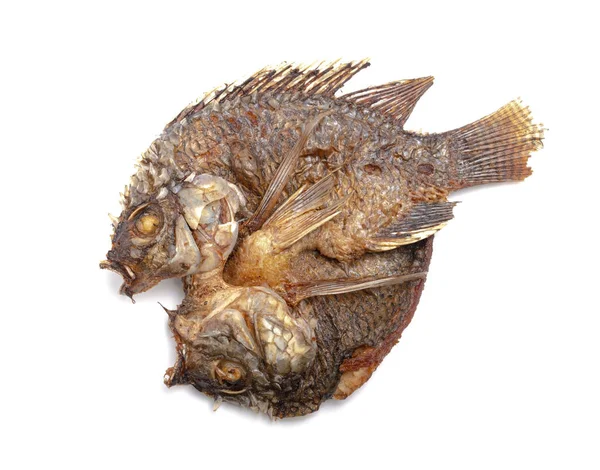 Жареная Тилапия Пресноводная Рыба Белом Фоне — стоковое фото