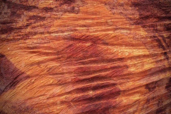 龍の木の芯質の抽象パターン — ストック写真