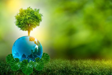 3D illüstrasyon Yenilenebilir Enerji Konsepti Dünya Günü veya çevresel koruma Toprakta yetişen ormanları koruyun ve gezegenin kurtulmasına yardım edin.