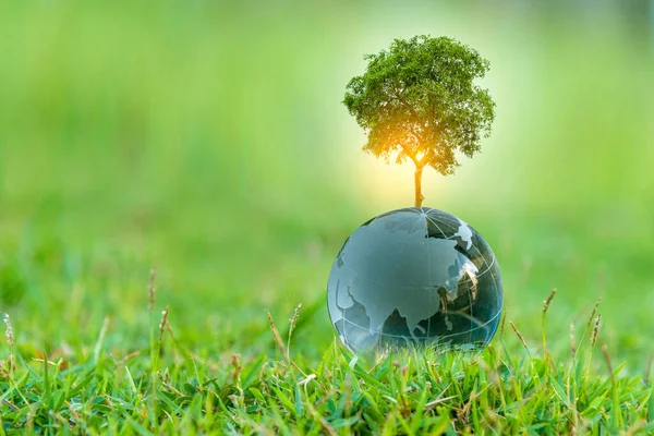 Иллюстрация Концепция Возобновляемых Источников Энергии День Земли Защита Окружающей Среды — стоковое фото