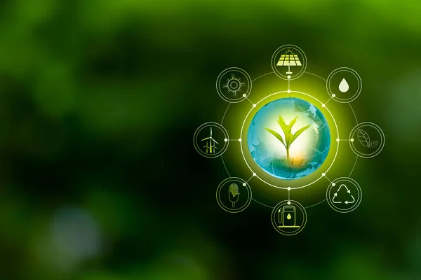 Yenilenebilir enerji konsepti Dünya Günü veya çevre koruma Elleri toprakta yetişen ormanları korur ve dünyayı kurtarmaya yardım eder.