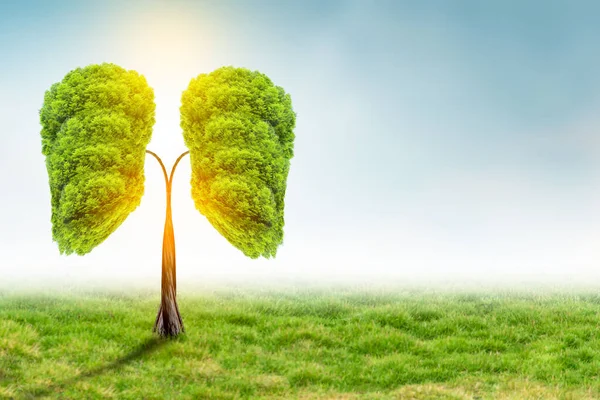 Ilustración Del Árbol Pulmonar Medio Ambiente Medicina Imagen de archivo
