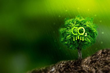 Yenilenebilir enerji ve yeşil karbondioksit emisyonları yoluyla gezegenle sürdürülebilir iş, yenilenebilir enerji kullanımı iklim değişikliği ve küresel ısınmayı sınırlayabilir.