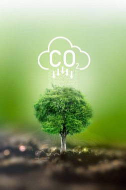 Yenilenebilir enerji ve yeşil karbondioksit emisyonları yoluyla gezegenle sürdürülebilir iş, yenilenebilir enerji kullanımı iklim değişikliği ve küresel ısınmayı sınırlayabilir.