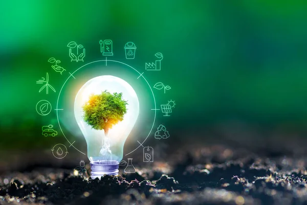 Yenilenebilir enerji konsepti Dünya Günü veya çevre koruma Elleri toprakta yetişen ormanları korur ve dünyayı kurtarmaya yardım eder.