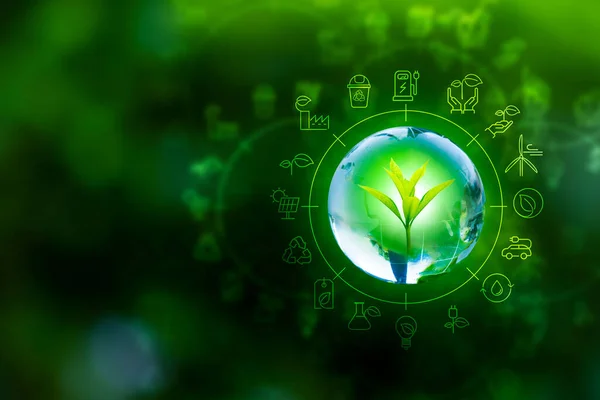 Concepto Energía Renovable Día Tierra Protección Del Medio Ambiente Las Imagen de stock