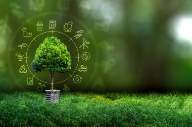 Yenilenebilir enerji konsepti Dünya Günü veya çevre koruma Elleri toprakta yetişen ormanları korur ve dünyayı kurtarmaya yardım eder.