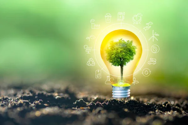 Yenilenebilir enerji konsepti Dünya Günü veya çevre koruma Elleri toprakta yetişen ormanları korur ve dünyayı kurtarmaya yardım eder.