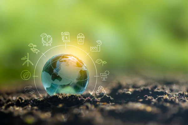 Yenilenebilir enerji konsepti Dünya Günü veya çevre koruma Elleri toprakta yetişen ormanları korur ve dünyayı kurtarmaya yardım eder.