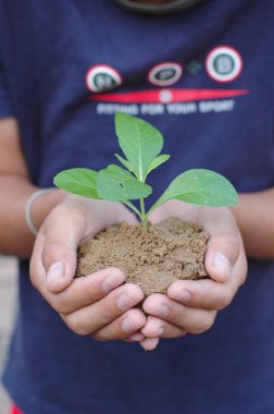 Fabrika holding eller