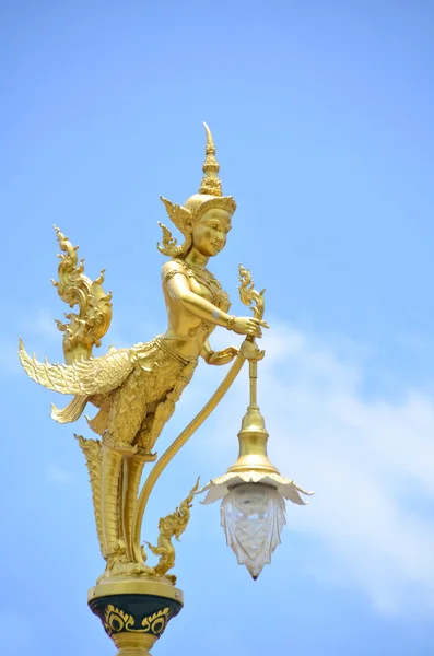 Baydaş_Medikal kuş