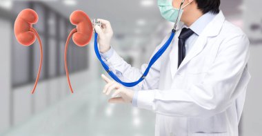 Hasta böbreklerini kontrol etmek için maske takan doktor.
