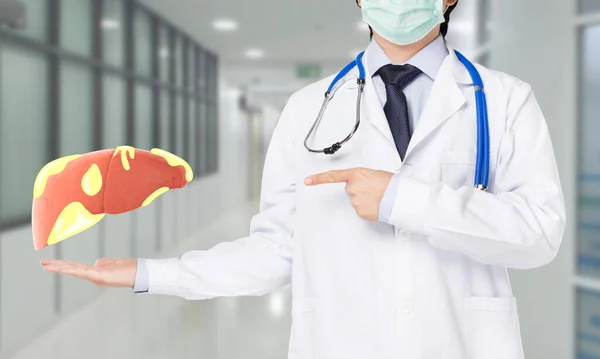 Doktor Karaciğer Karaciğer Hastalıklarını Gösteriyor — Stok fotoğraf