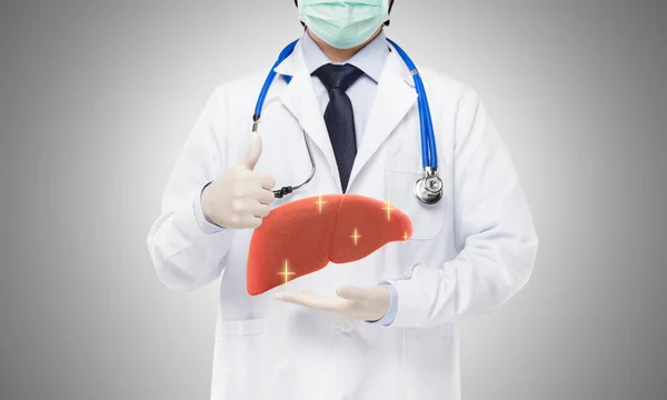 Doktor Sağlıklı Karaciğer Karaciğer Konseptini Gri Arka Planda Tutuyor — Stok fotoğraf