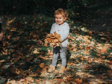 Sonbahar parkında küçük şirin bir çocuk elinde bir sürü akçaağaç yaprağı tutuyor..