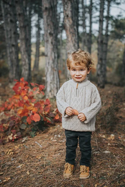Sonbahar ormanında küçük bir çocuk. Açık hava aktivitesi — Stok fotoğraf