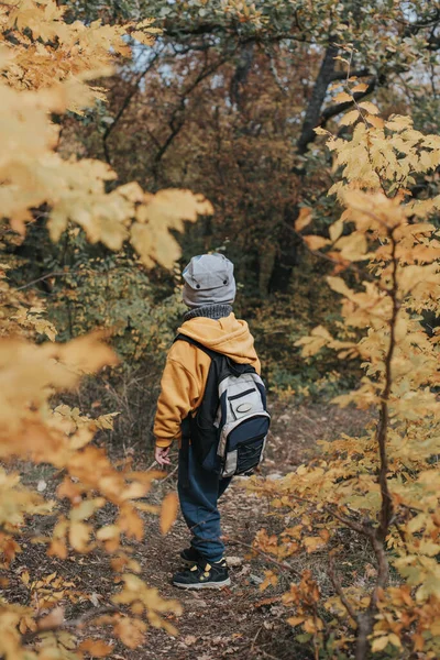 Chłopiec przechodzi przez jesienny las.. — Zdjęcie stockowe