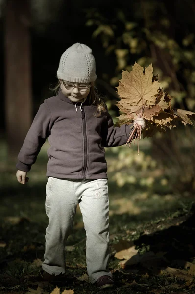 Het meisje plukken Herfstbladeren. — Stockfoto