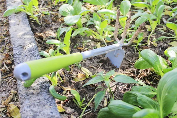 Garden tool — Stock Photo, Image