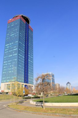 Gökdelenler